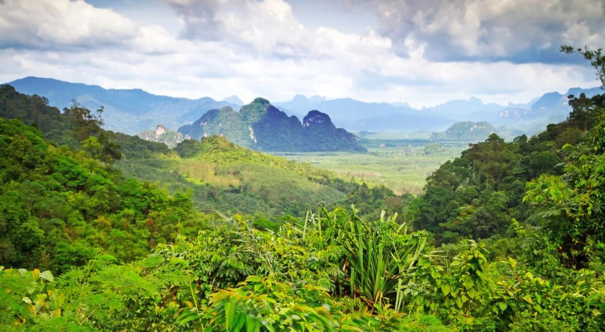 61 Parcs nationaux fermés en Thaïlande 